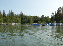 Rentoa kesää